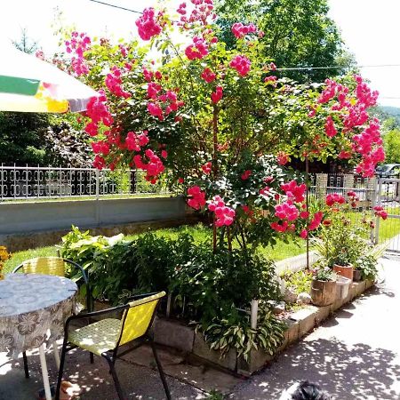 Apartman Vesna Ovcar Banja Luaran gambar