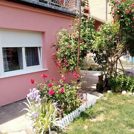 Apartman Vesna Ovcar Banja Luaran gambar