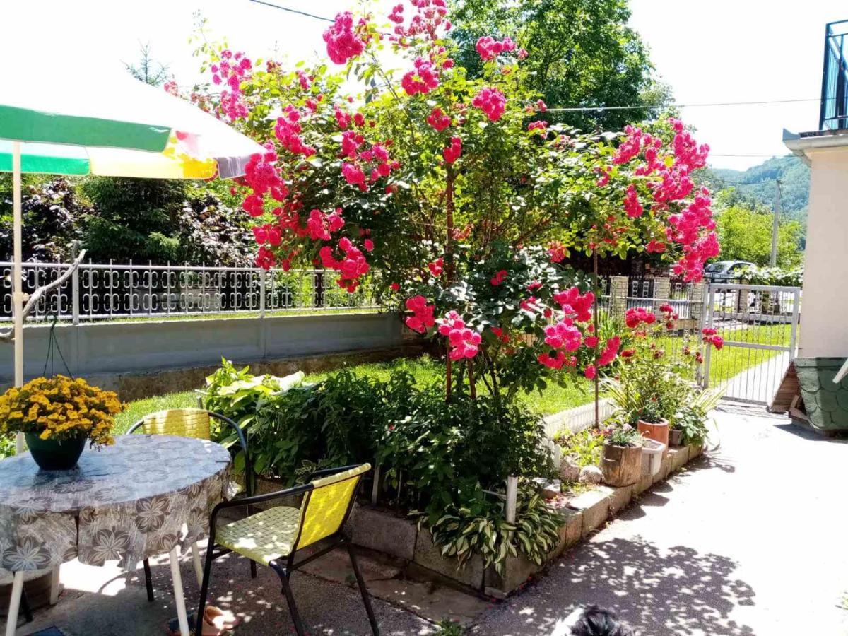 Apartman Vesna Ovcar Banja Luaran gambar