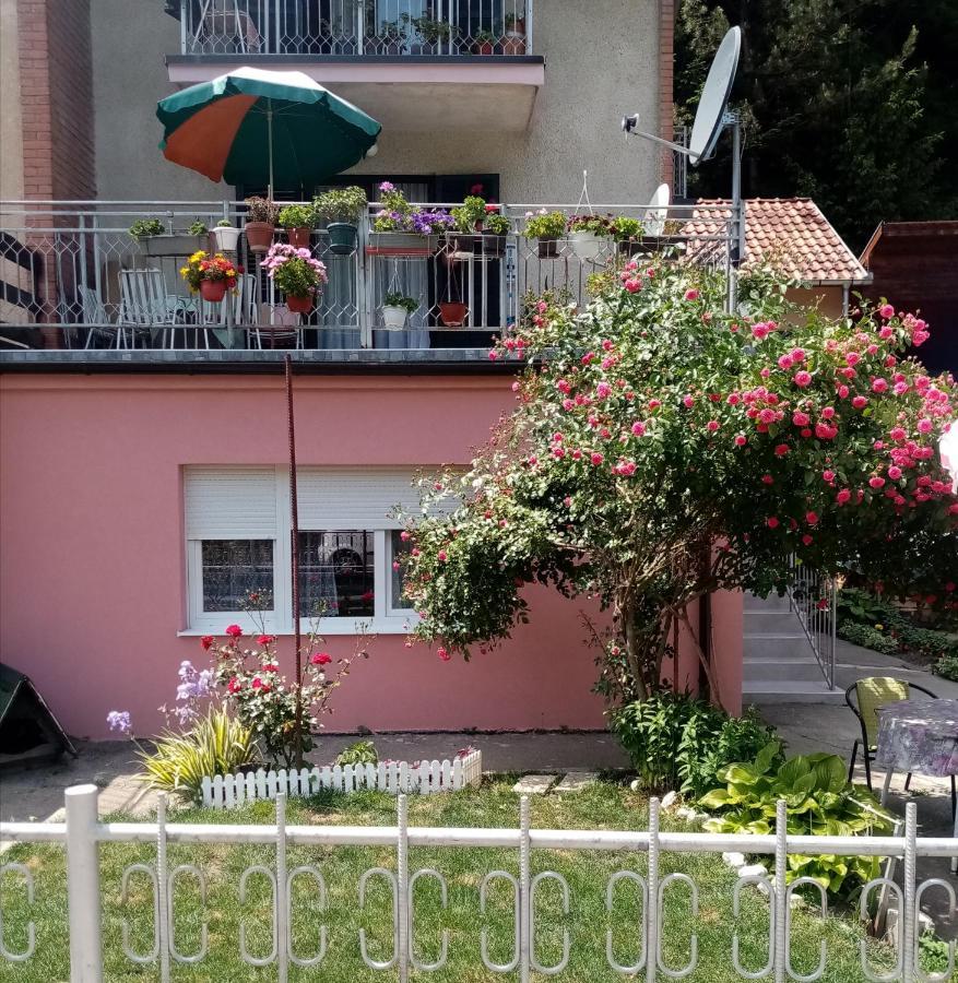 Apartman Vesna Ovcar Banja Luaran gambar