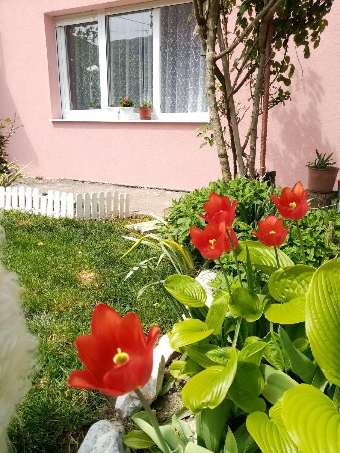 Apartman Vesna Ovcar Banja Luaran gambar