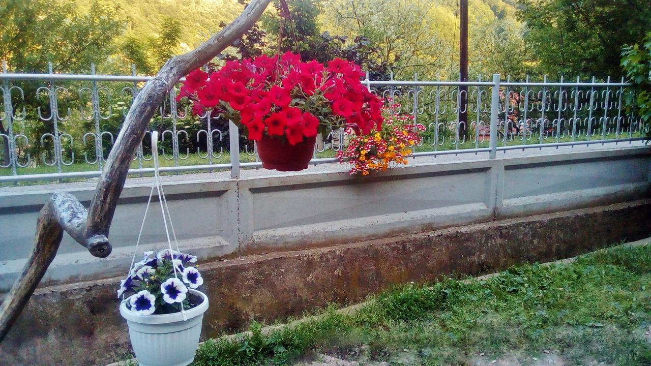 Apartman Vesna Ovcar Banja Luaran gambar