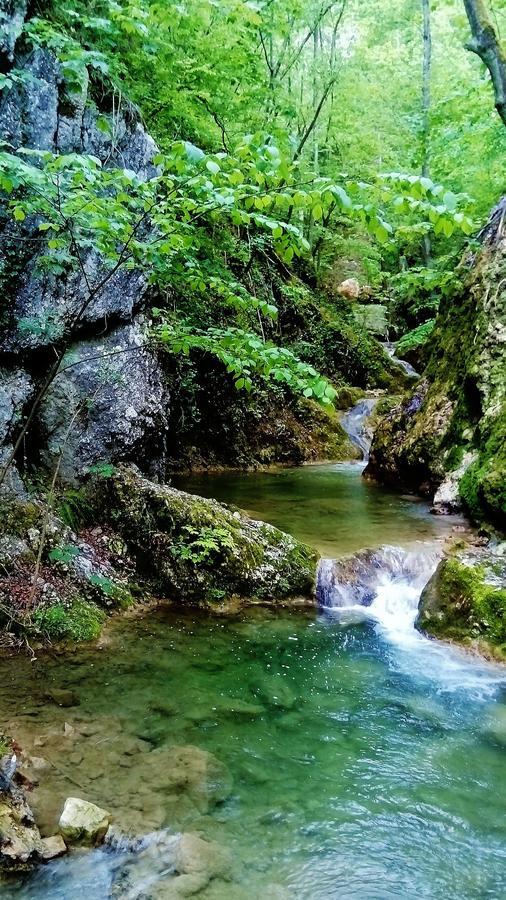 Apartman Vesna Ovcar Banja Luaran gambar